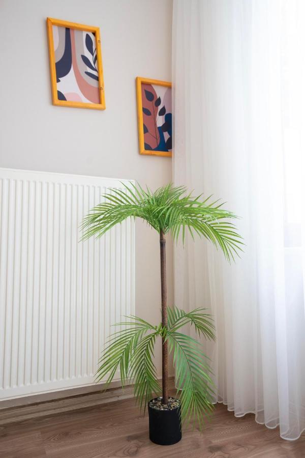 Comfortable House For Families Close To Taksim Apartment *