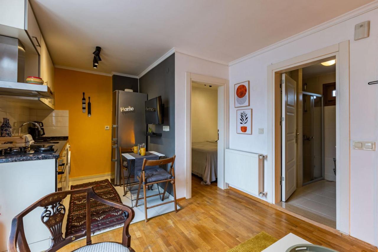 Superb Flat With View And Terrace In Beyoglu Apartment *