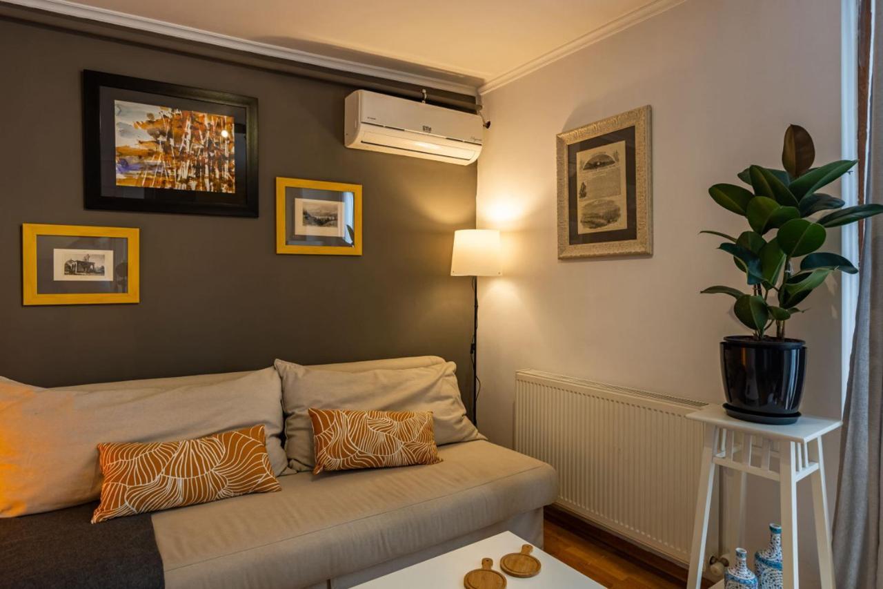 Superb Flat With View And Terrace In Beyoglu Istanbul