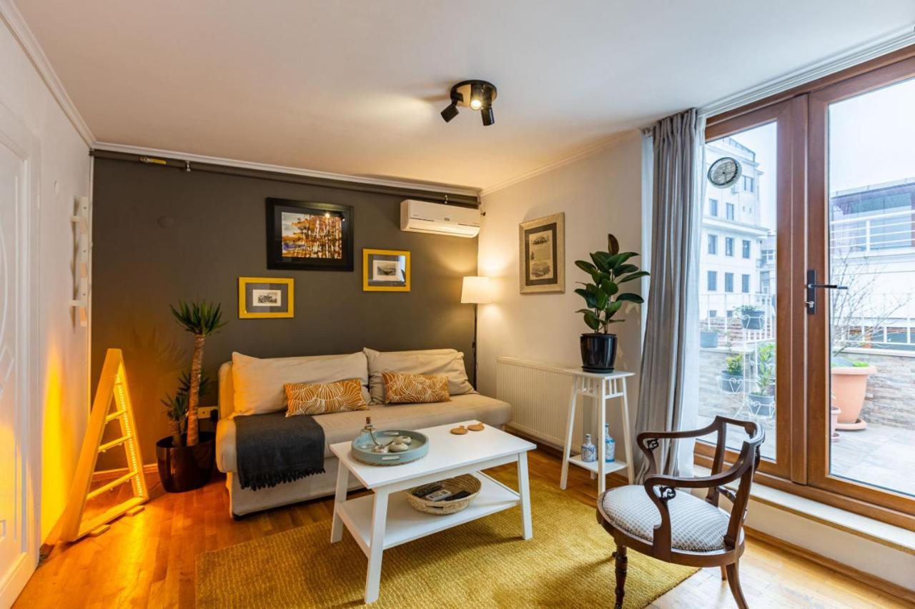 Superb Flat With View And Terrace In Beyoglu Istanbul
