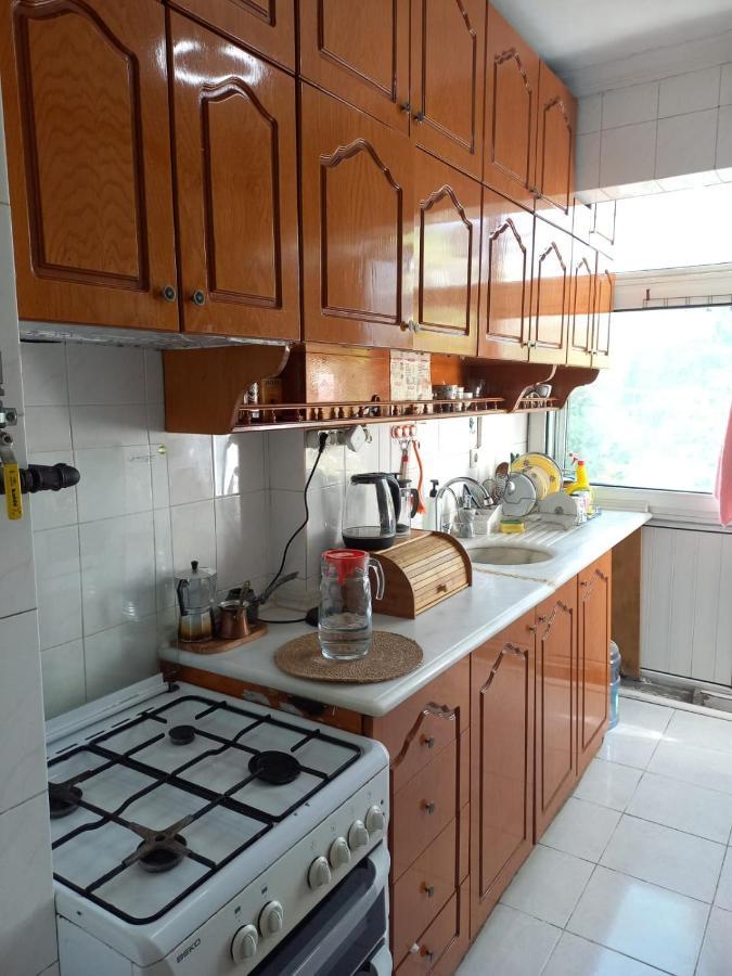 Hagi Yorgi Deluxe Kozyatagi, Luxury Homestay