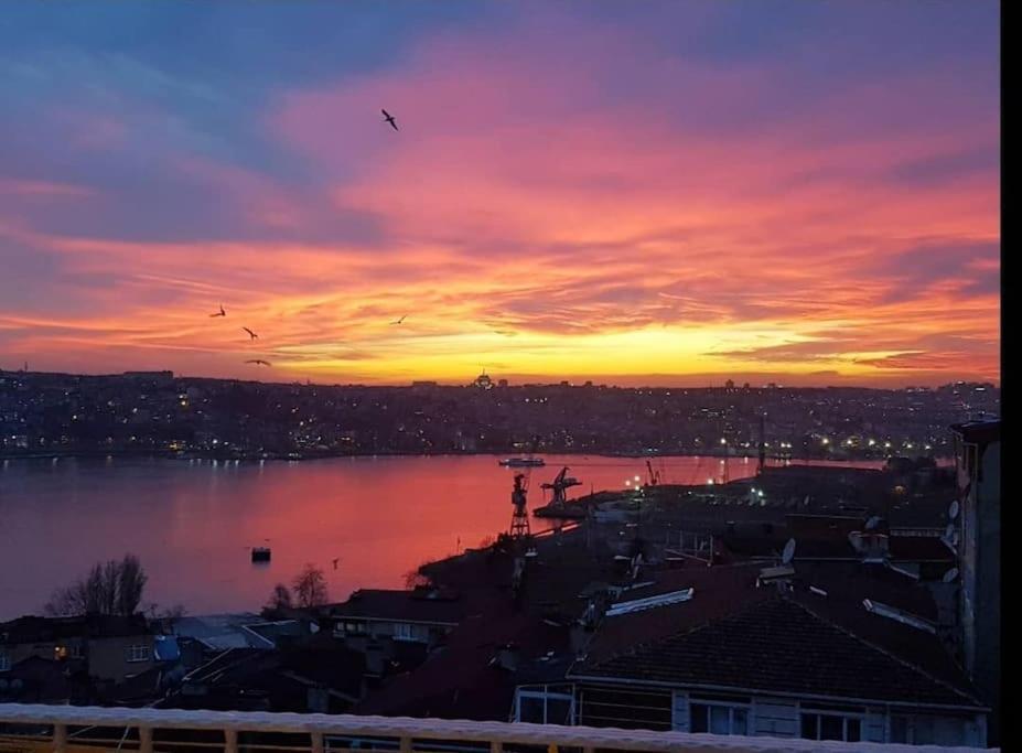 Deniz Manzarasi, Marti Sesleri Esliginde