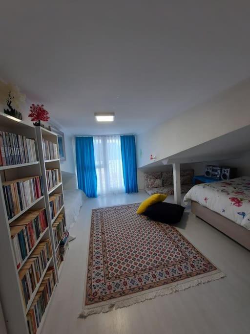 Daire Deniz Manzarasi, Marti Sesleri Esliginde İstanbul