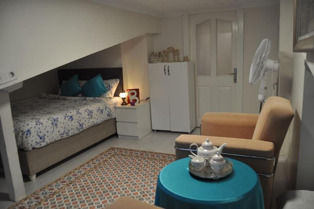 Deniz Manzarasi, Marti Sesleri Esliginde * İstanbul