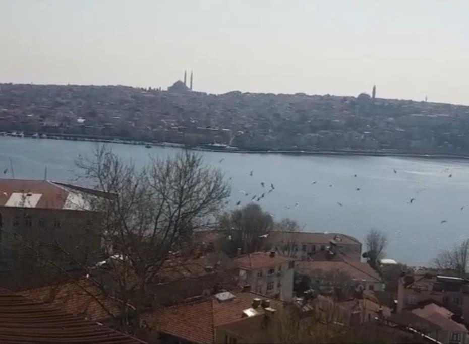 Deniz Manzarasi, Marti Sesleri Esliginde Daire *