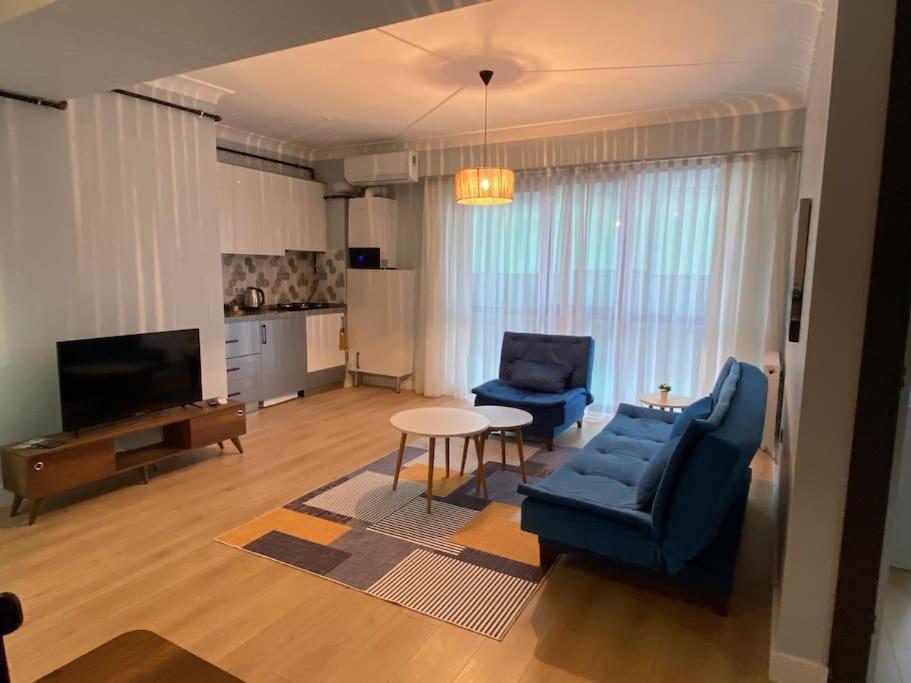 Apartment Modern , Spacious, Duplex