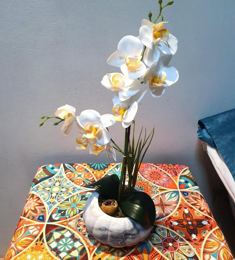 Apartment Ariya Yildiz Apart Istanbul