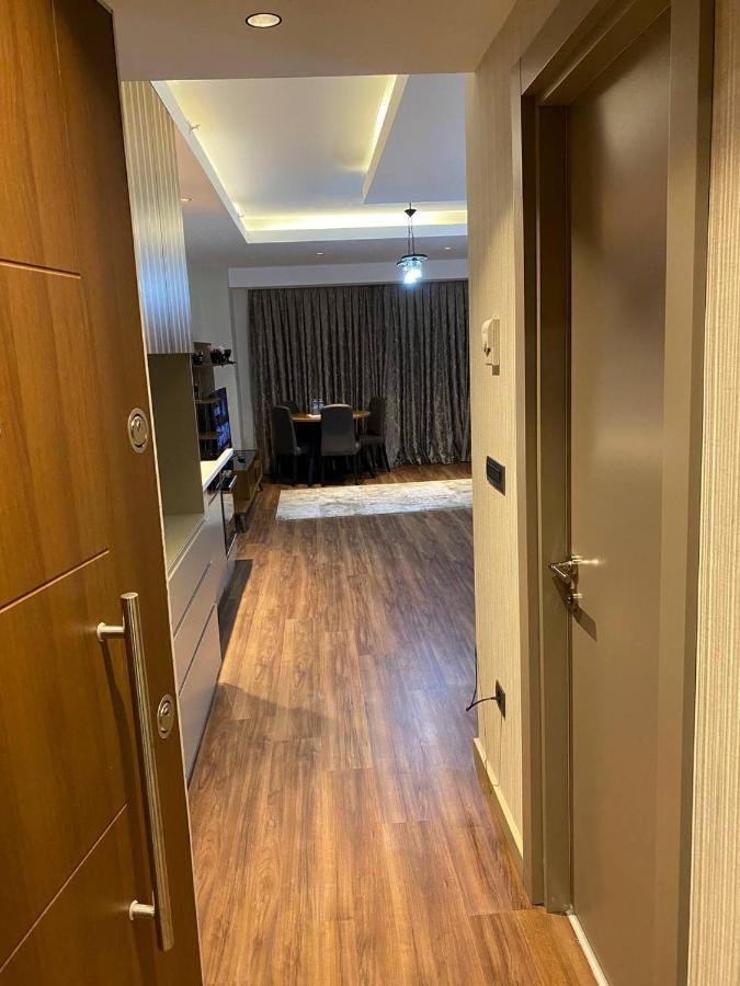 Low Price Luxury Perfect For An Amazing Apartment *