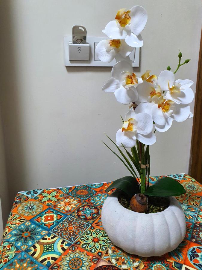 Ariya Yildiz Apart Apartment