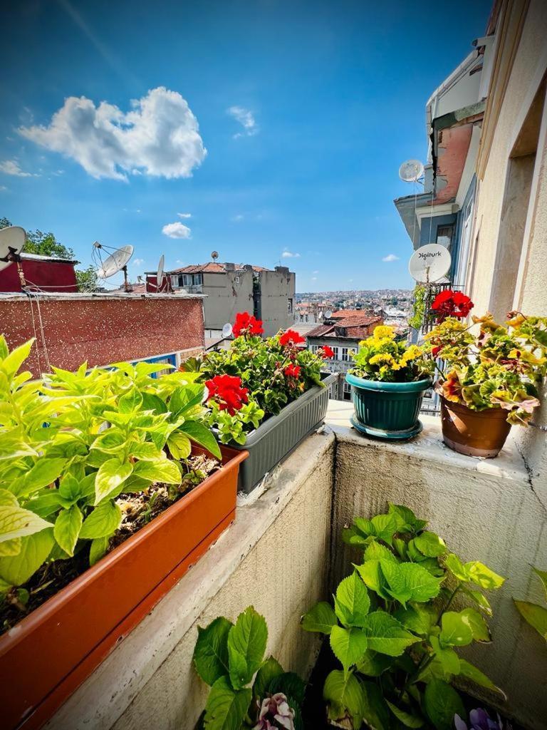 Ariya Yildiz Apart Apartment *