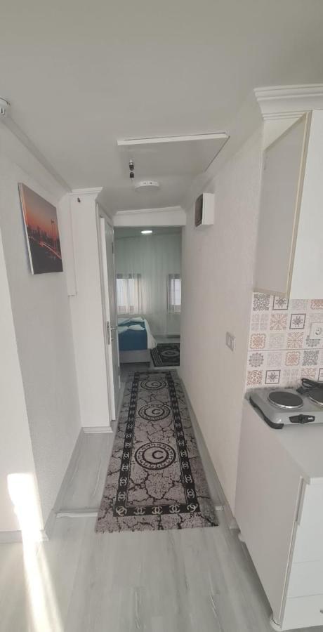 Volter Group Misir Bugdayi Taksim *