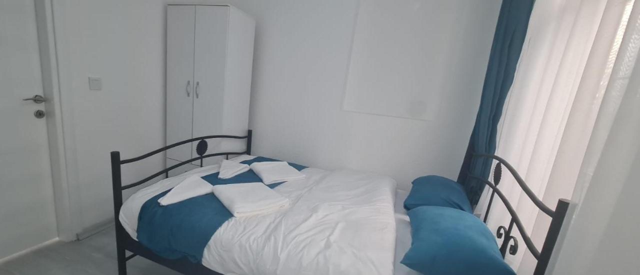Volter Group Misir Bugdayi Taksim *