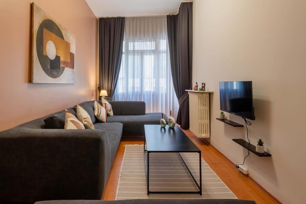 Apartment 2br Historical & Spacious Apt. In Heart Of Taksim