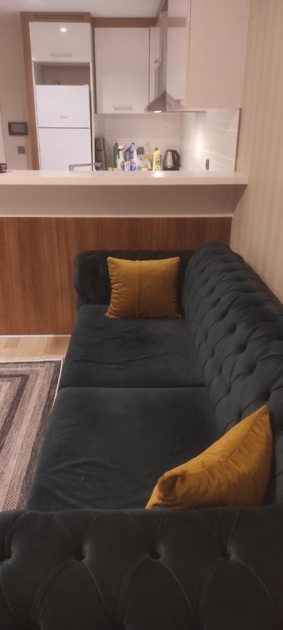 Apartment Botanica *