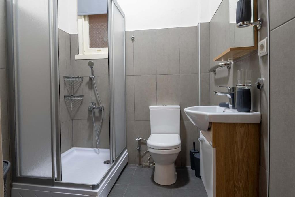 2br Historical & Spacious Apt. In Heart Of Taksim Apartment *