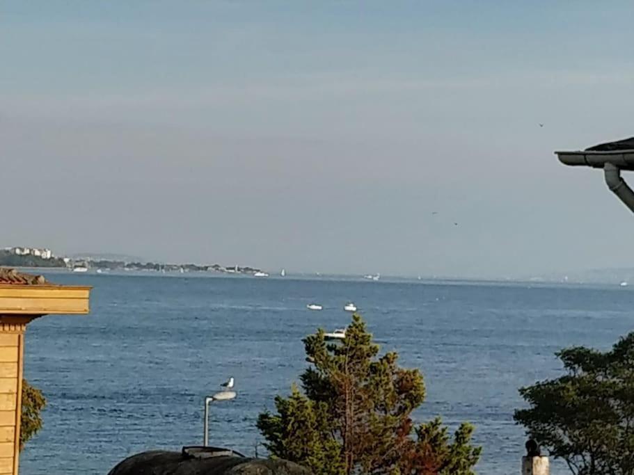Magellan Sea View With Balcony Apartment