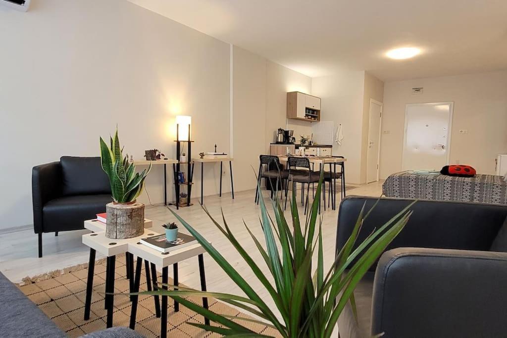 New Cosy Studio In The Heart Of Kadikoy Apartment *
