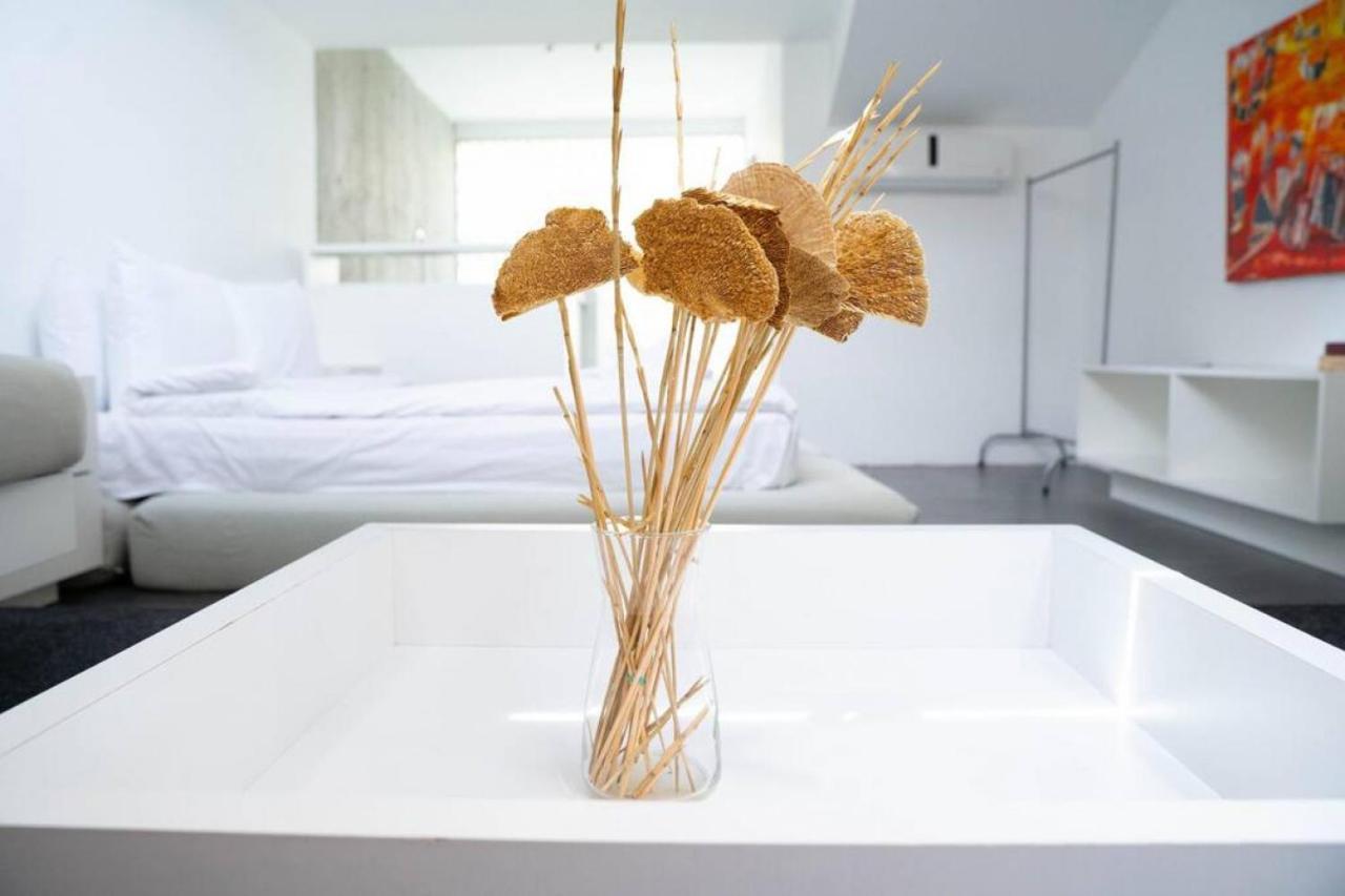 Sleek And Duplex House In Beyoglu Apartment