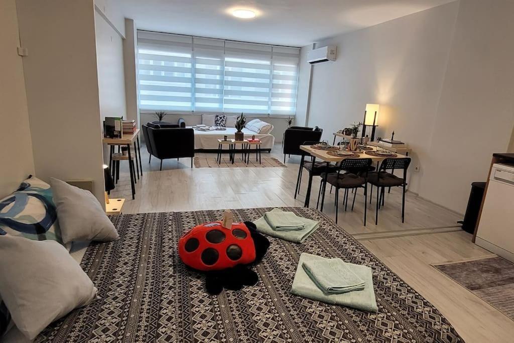 New Cosy Studio In The Heart Of Kadikoy Apartment *