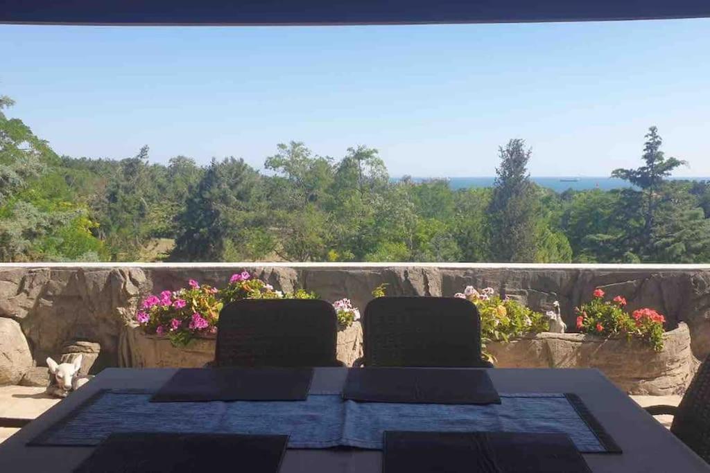 Peaceful Hometown With Perfect Sea And Forest View Daire