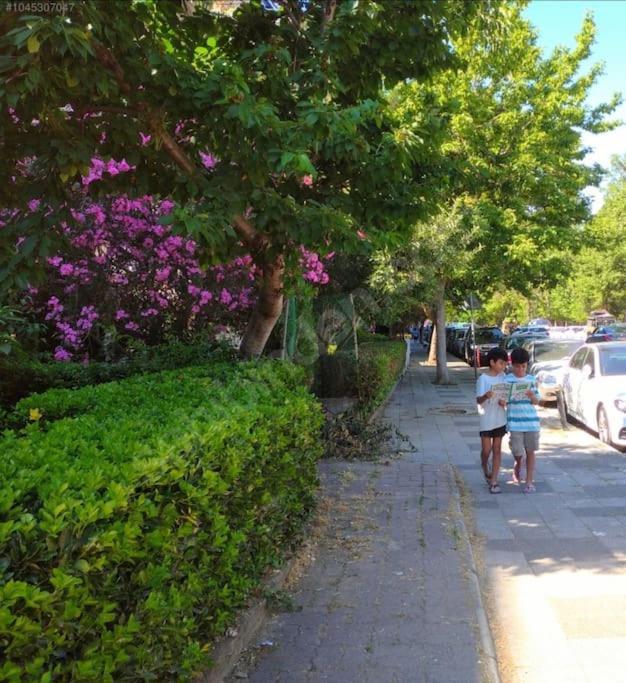 Apartment Serene & Spacious 3br In Istanbul's Prime Location - Discover Vibrant Seafront Living