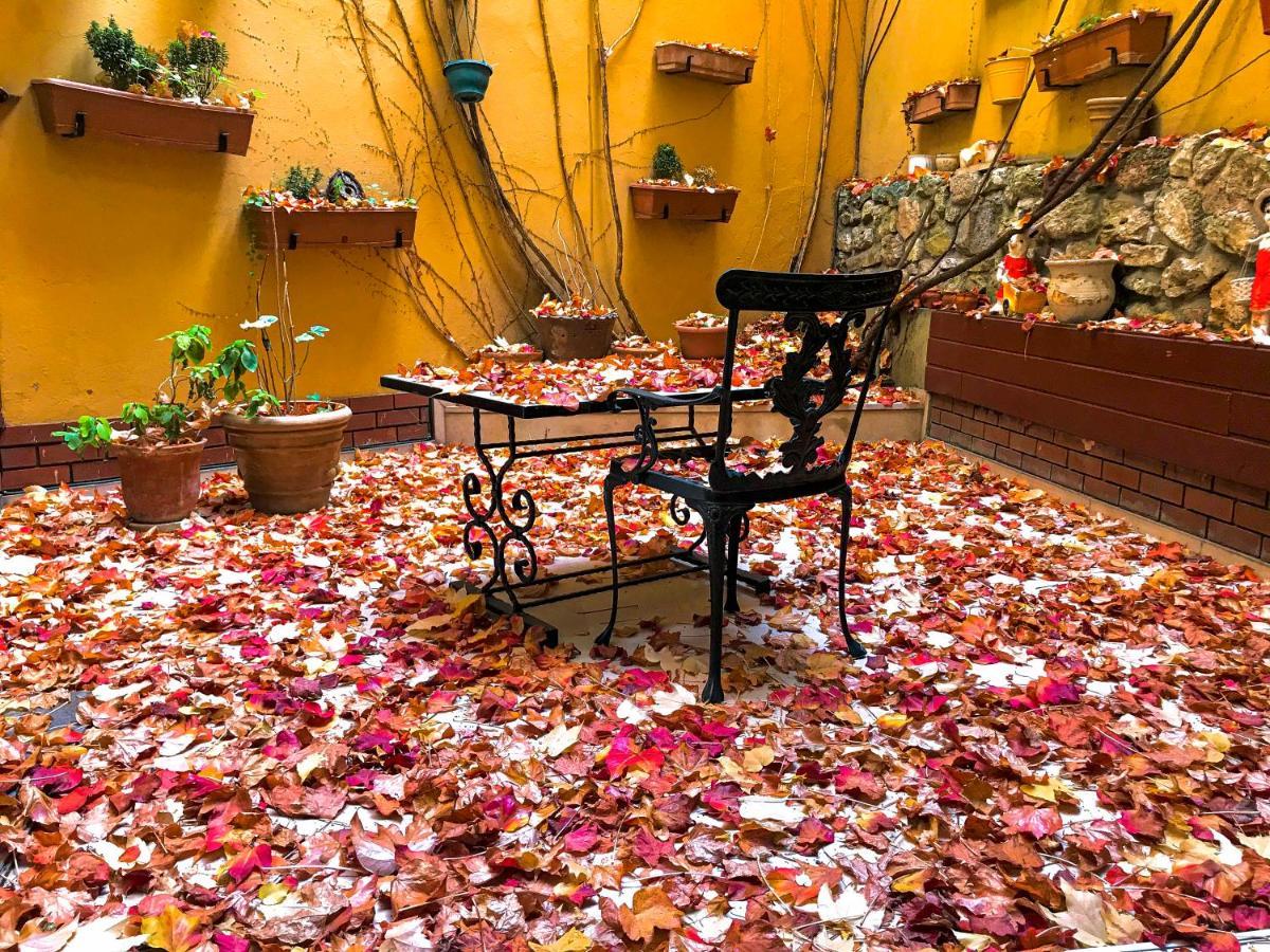 Hotel Erguvan - Special Category Istambul