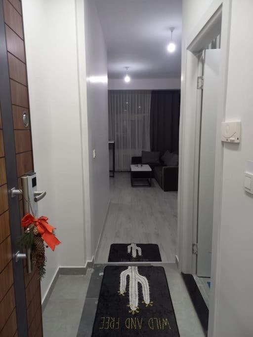 Apartment *новая квартира 1+1 Mecidiyekoy