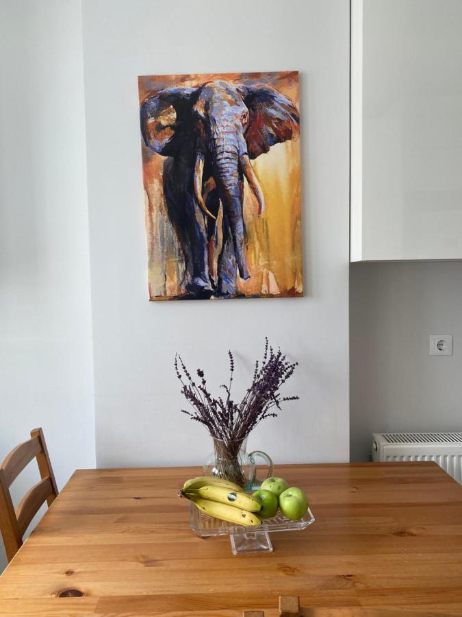 Apartment New Building Lovely Modern Apt With 90mbs Fiber Internet 5min Walking To Bagdat Street Istanbul
