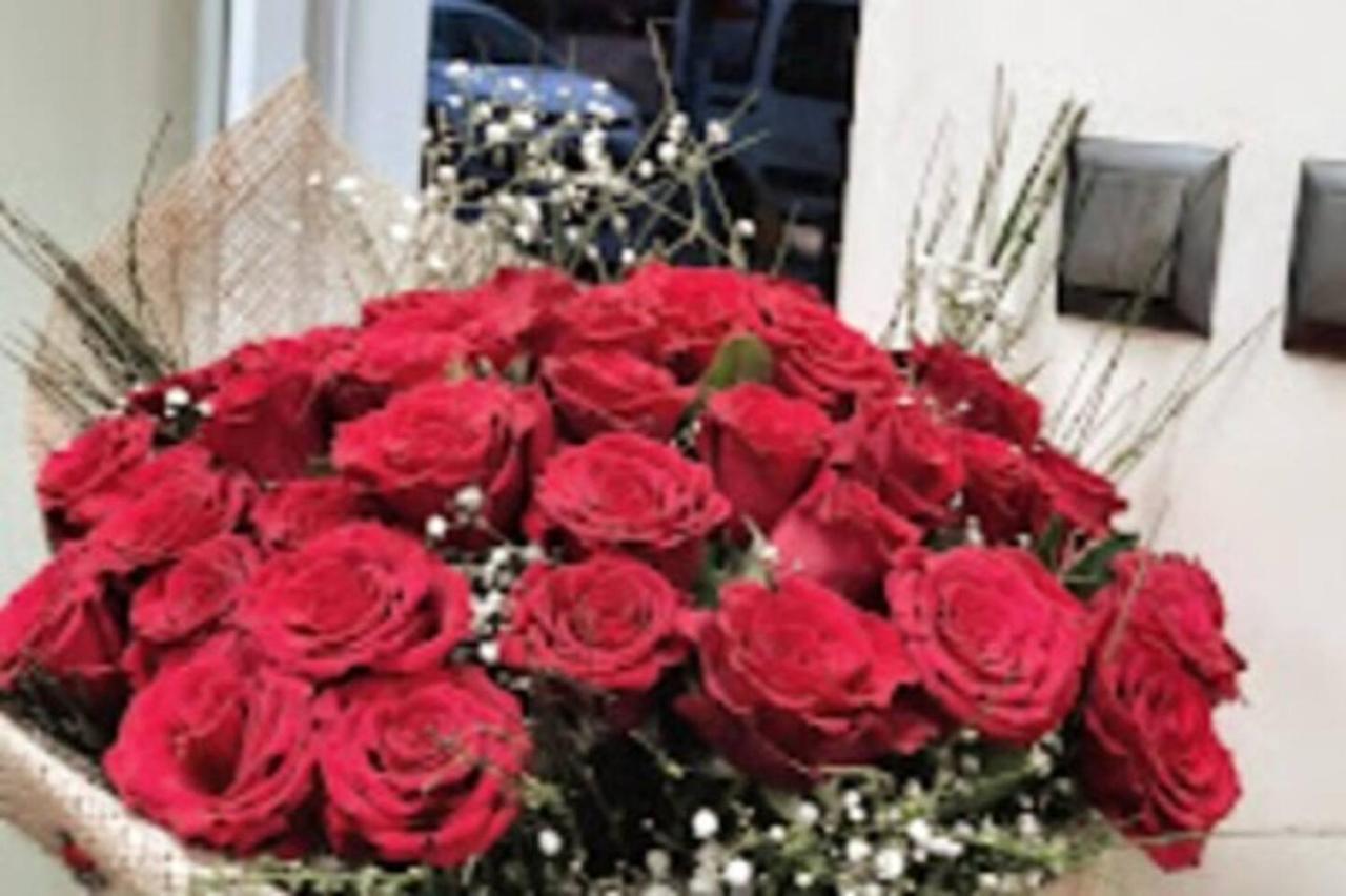 Hagi Yorgi Deluxe Kozyatagi, Luxury Homestay Istanbul