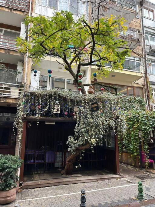 Apartamento House In The Center Of Kadikoy