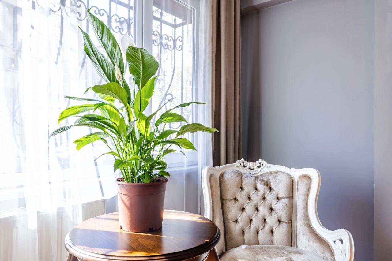 Fully Furnished Magnificent Flat In Uskudar