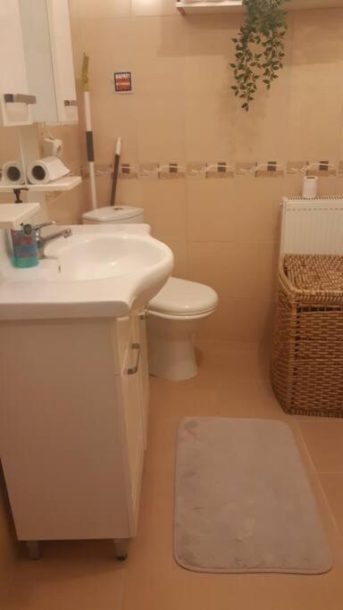 Apartment Cosy And Fully Furnished 2 Bedroom Istanbul