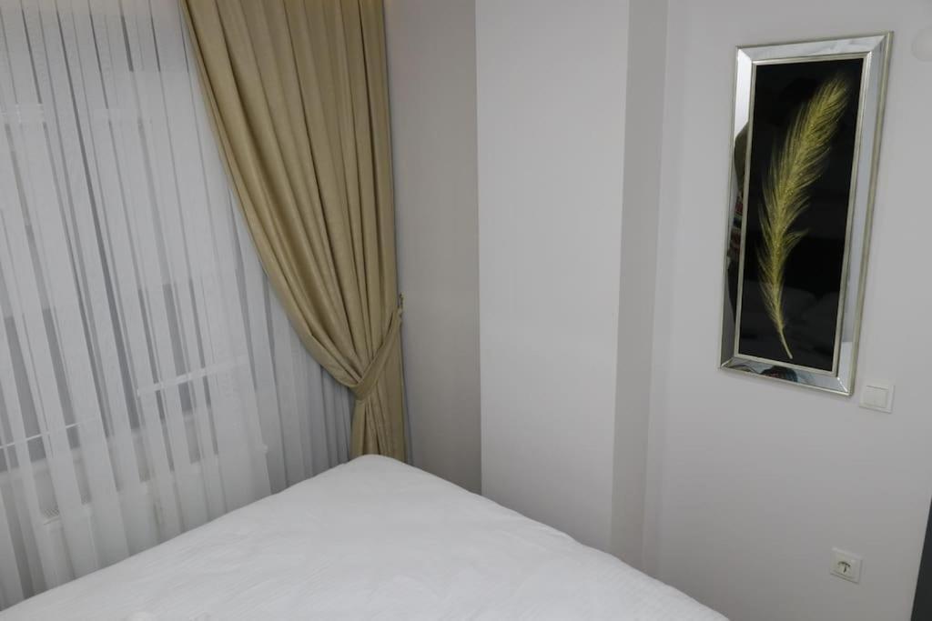 Fully Equipped Apartment