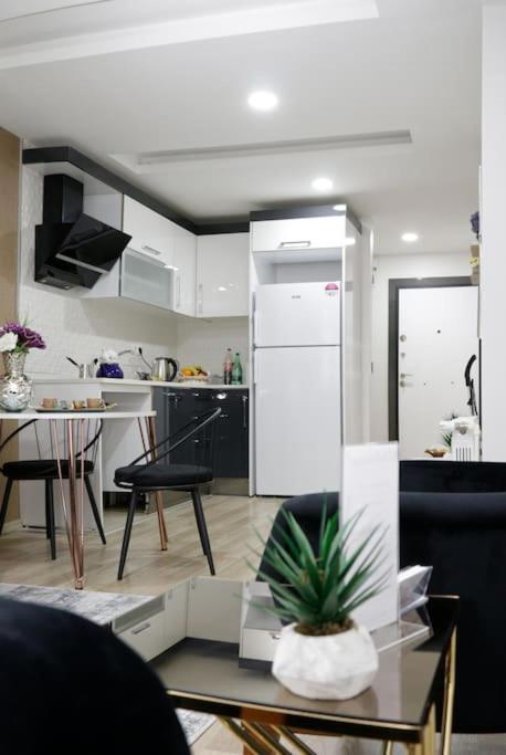 Fully Equipped Apartment