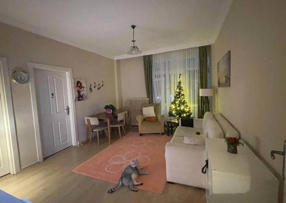 Cosy And Fully Furnished 2 Bedroom * Istanbul