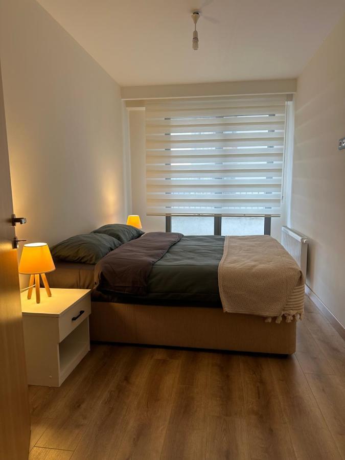 Alfa Apartment