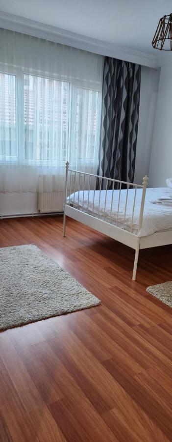 Filiz Kargin *