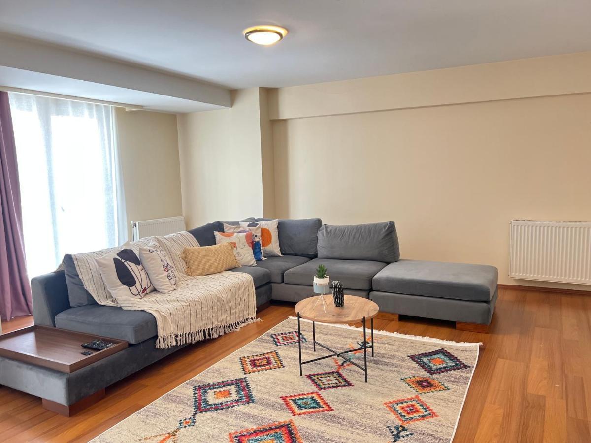 New Studio Apartment, 1br Apartment *