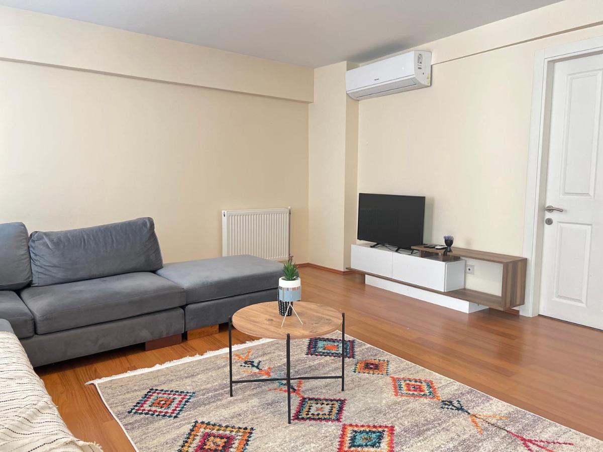 Apartment New Studio Apartment, 1br *