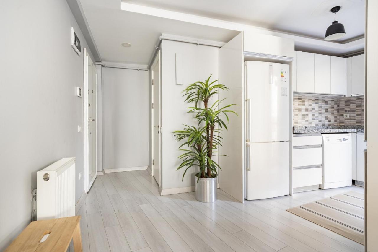 Apartment Stylish Duplex With Terrace 650 M To Galata Tower *
