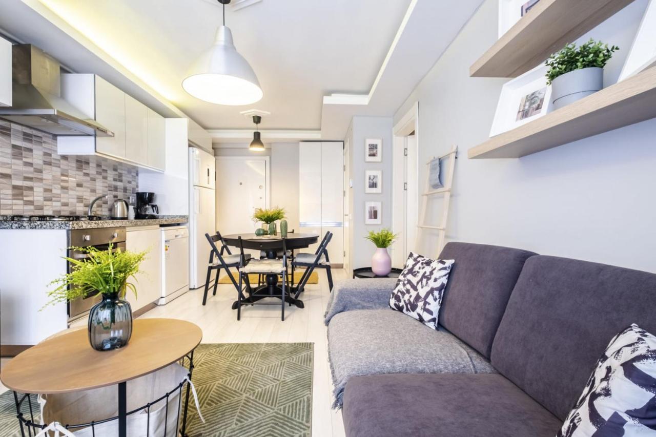 Comfy Flat 650 M To Galata Tower * Istanbul