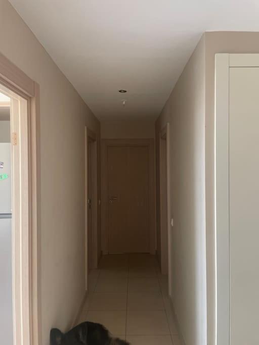 Acik Havuz Ve Deniz Manzarasi Sunan Site Ev Apartment Istanbul
