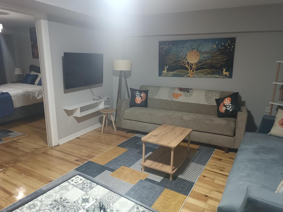 Disa & Apartment Istanbul