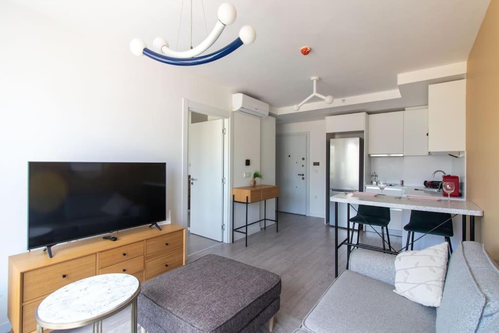 Apartment Cozy & Convenient 1br W/ Free Parking #180 Istanbul