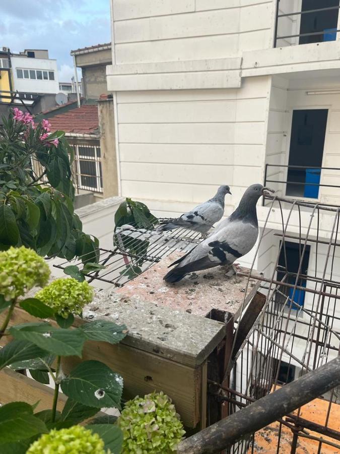 Kadikoy Terrace Bbq Close 2 Block Ferry Bull Metro Nighlife Apartment *