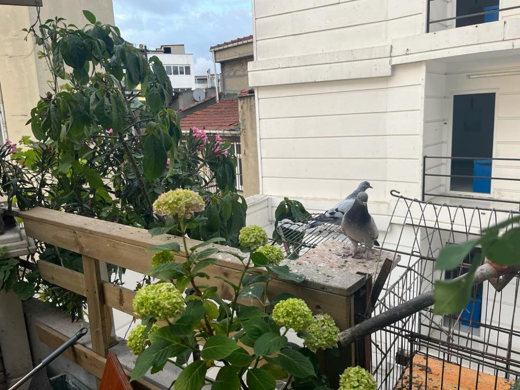 Kadikoy Terrace Bbq Close 2 Block Ferry Bull Metro Nighlife Apartment