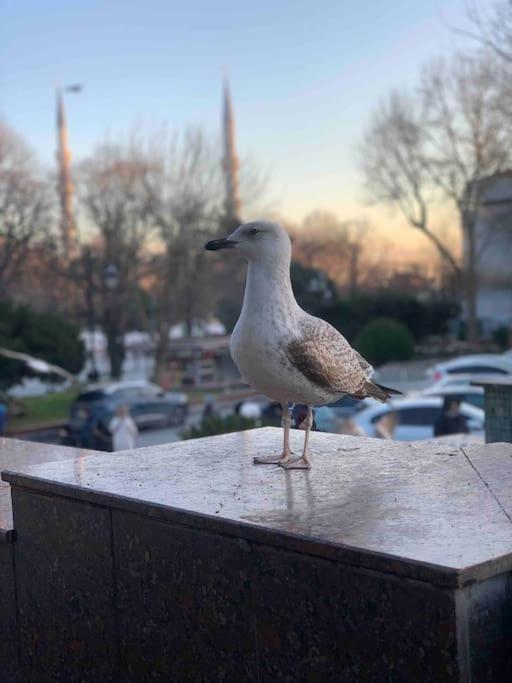Cozy Place In Heart Of Taksim