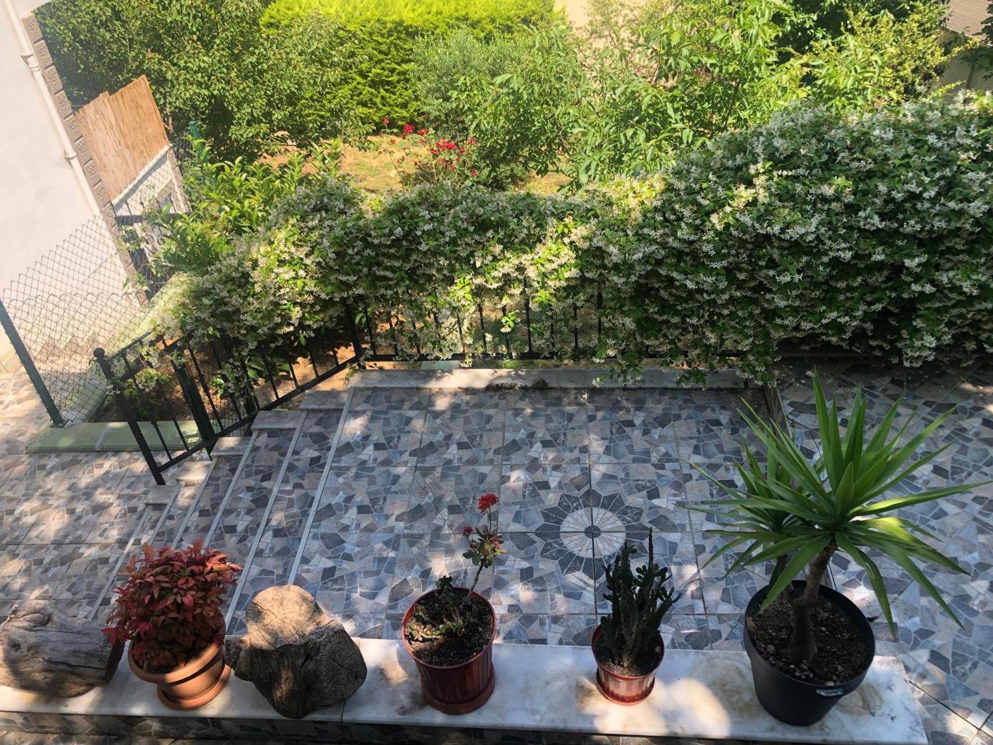 Garden House Daire *