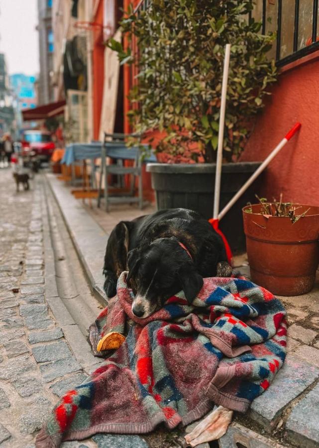 Balat Historical House *