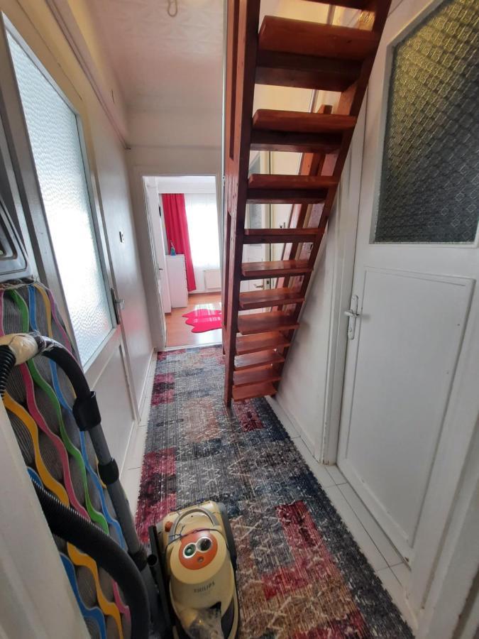 Taksimde Deniz Ve Marti Esliginde Uyanmak * Istanbul